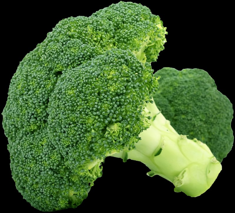 Sustainable dining